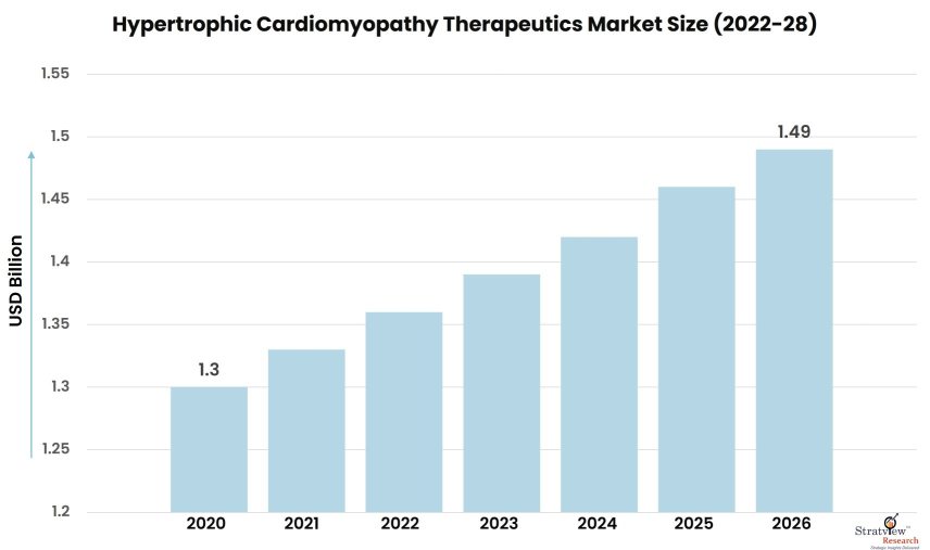 Hypertrophic-Cardiomyopathy-Therapeutics-Market-Insights